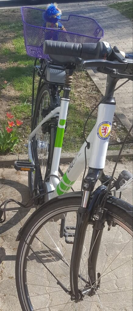 Gestohlenes grün-weißes eBike mit lilafarbenem Korb in Raabestraße, Bad Harzburg, gesucht.