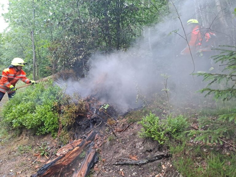 Brennender Baumstamm am Okerteich in Altenau - Feuer schnell gelöscht