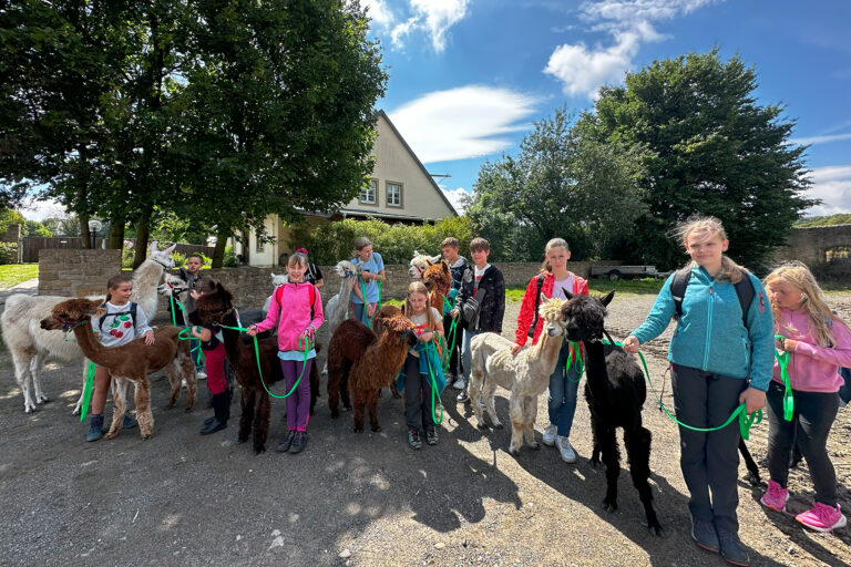 Bild 2 SPP Alpaka