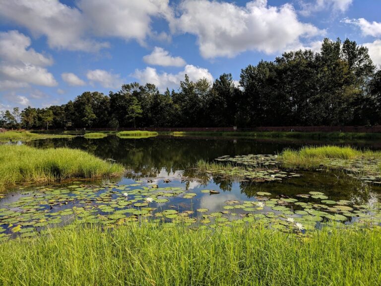 pond 4602155 1280