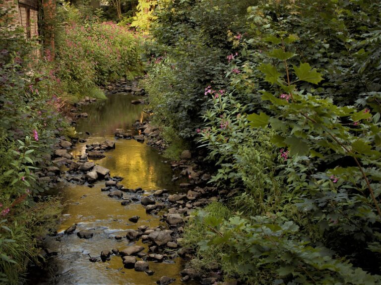 watercourse 6545896 1280
