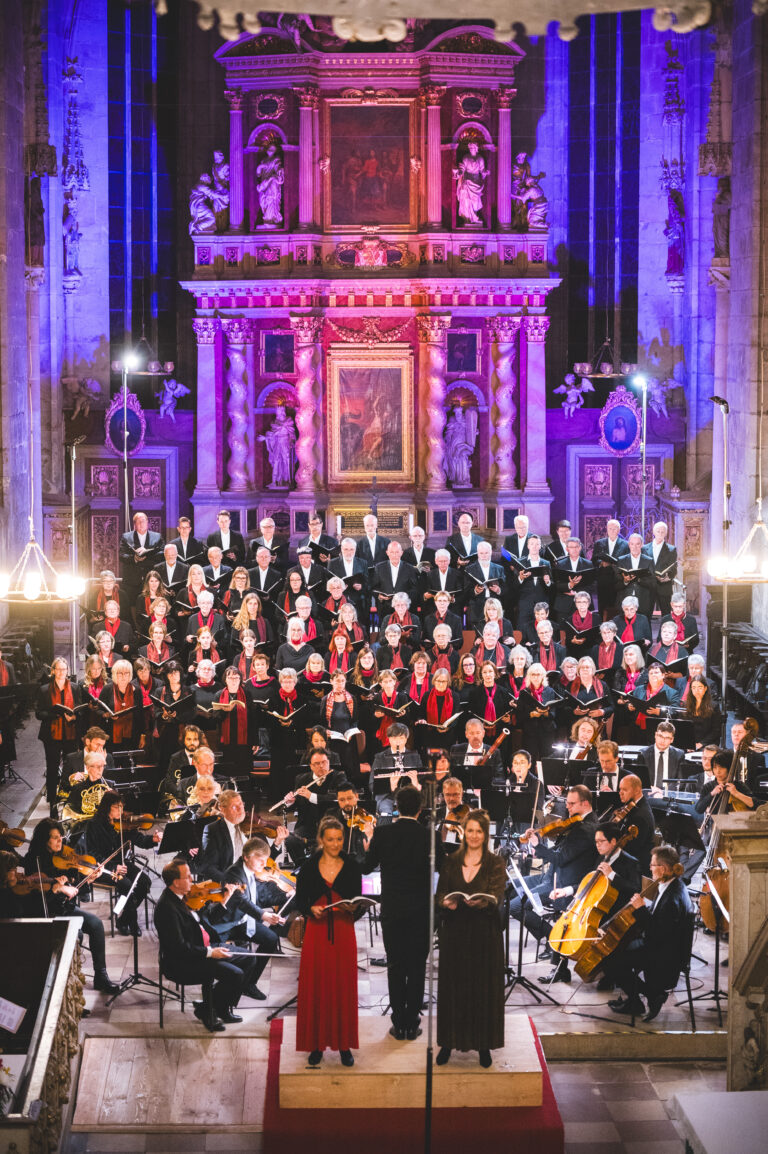 Musiksommer nRicoKreimFotografie 2548