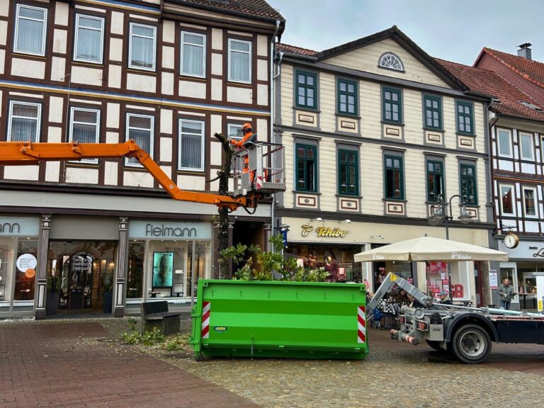 Erster Bauabschnitt startet