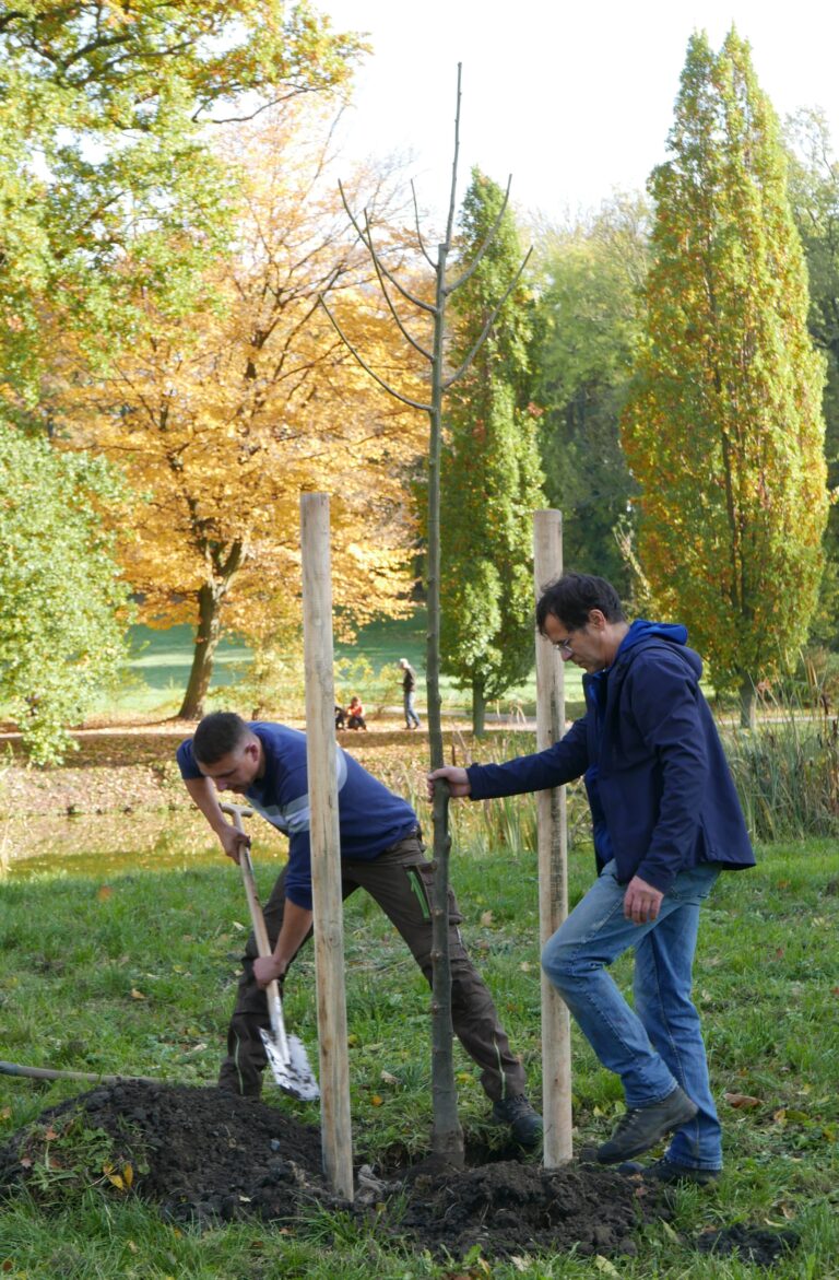 Parkseminar2024 cGartentraeume Sachsen Anhalt e.V