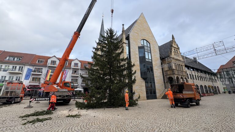 2025 11 19 weihnachtsbaumcsmarketing 14