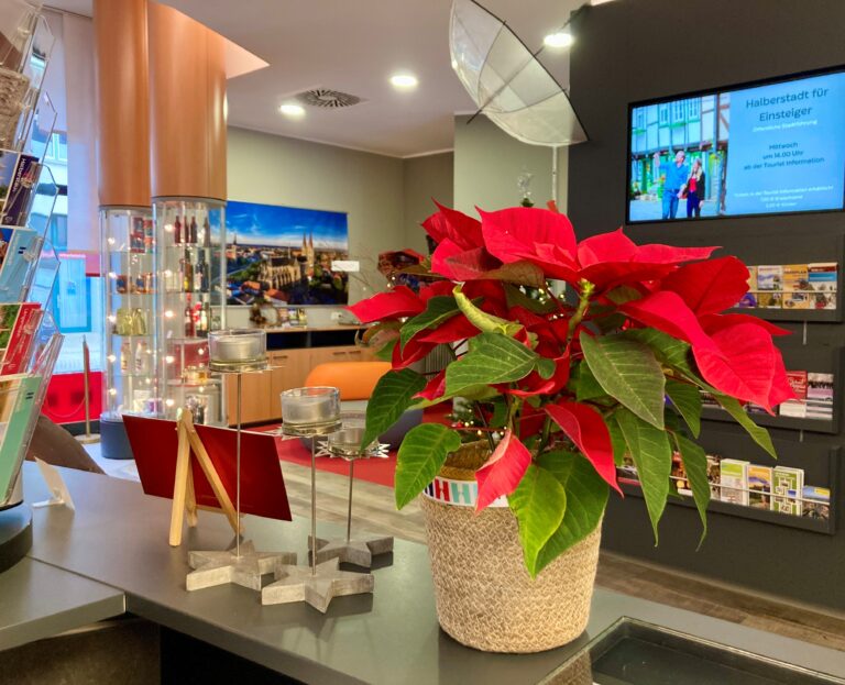 Blick in die weihnachtlich geschmueckte Tourist Information