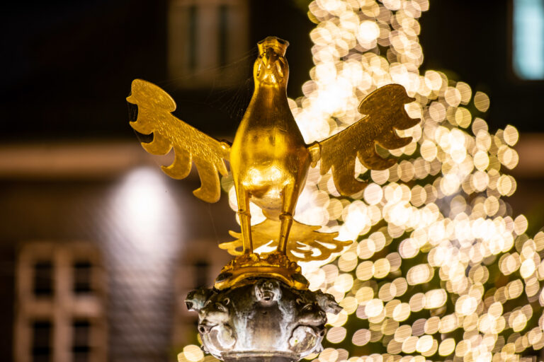 Lichtzauber Quelle GOSLAR marketing gmbh Foto FilmPunktTon