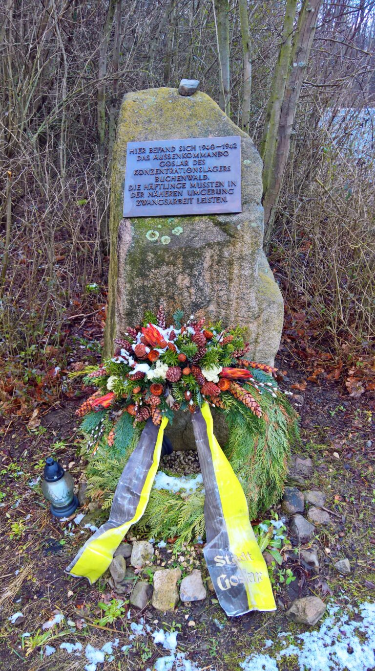 0000 KZ Stein Bassgeige Goslar 4 Frank Jacobs