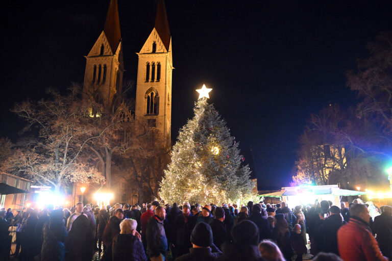 2025 11 28 weihnachtshoefecholger wegener 27