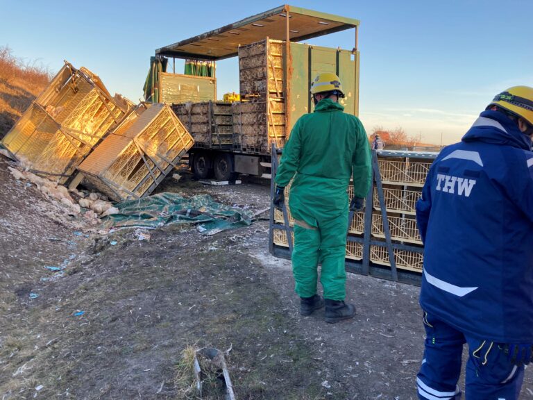 PI 2025 226 Einsatz des Veterinaeramtes