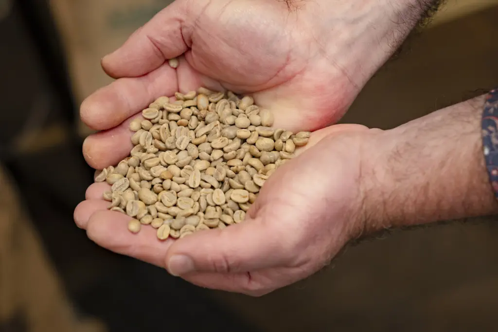 20241022 foto sobotta 002 1