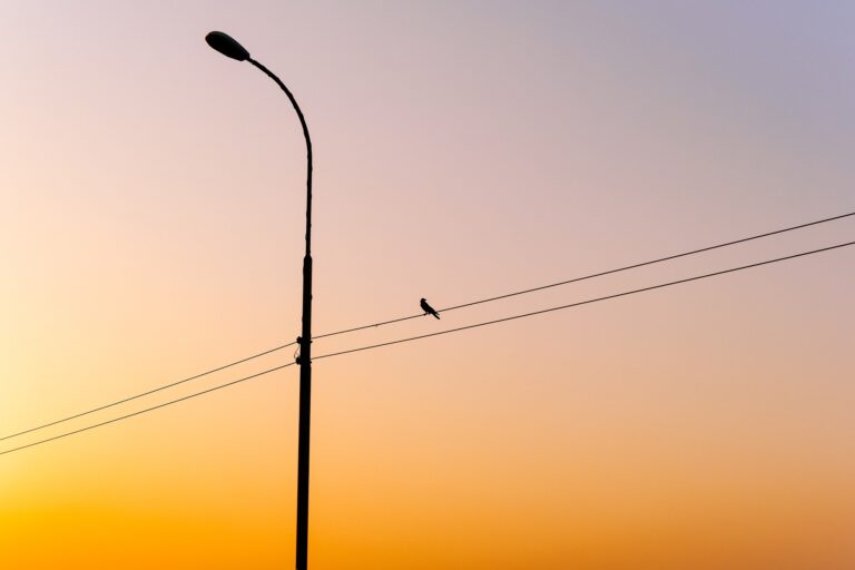 back lit 9674838 1920