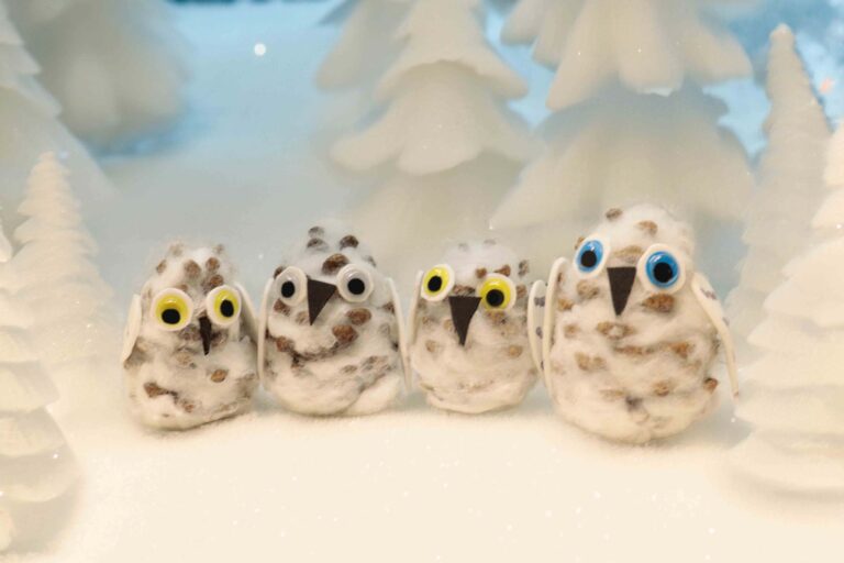 © Museum fuer Vogelkunde Zapfeneulen 2025 2