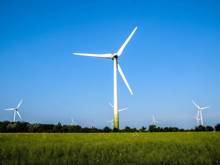 kathy buscher pinwheels 2404871 1920