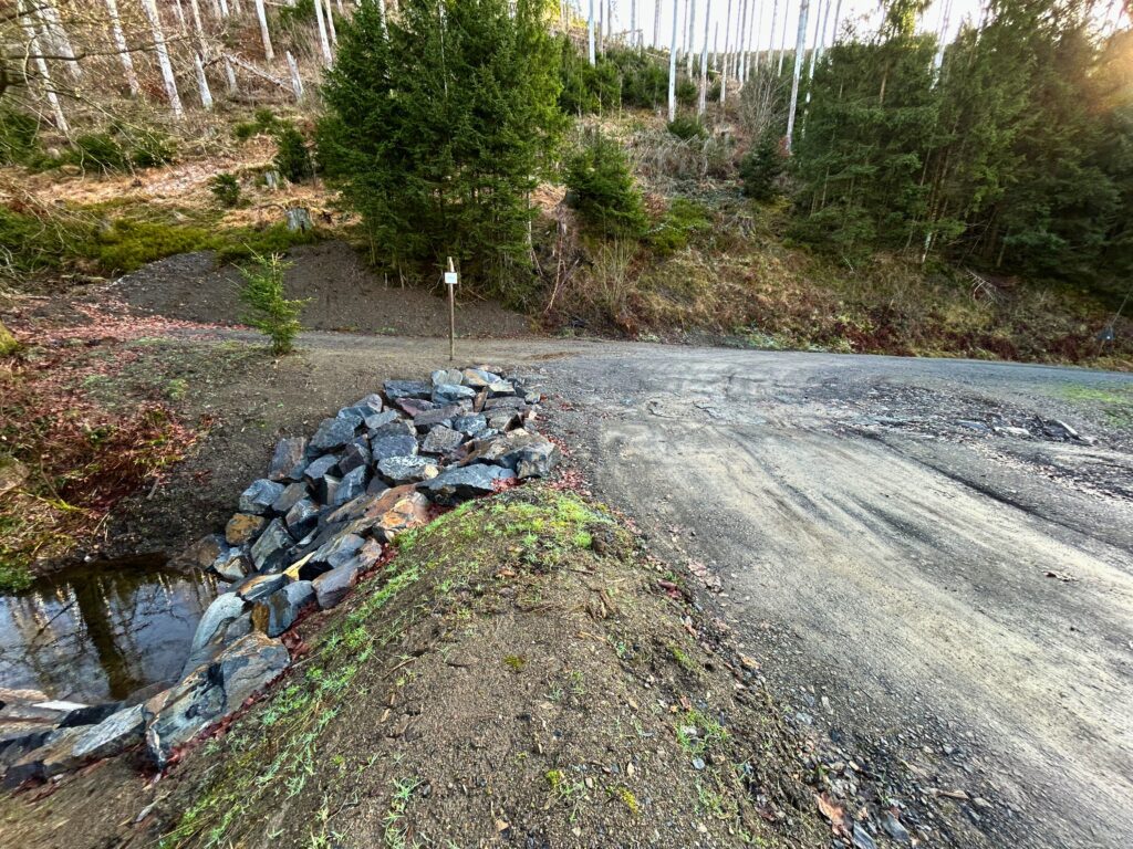 Bauwerk mit Rueckhaltefunktion an einem Waldweg