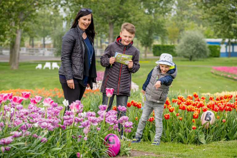 Fruehling Elbauenpark 02 Foto Andreas Lander