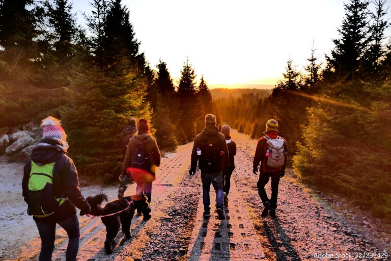 PM 1 Adobe Stock 327232429