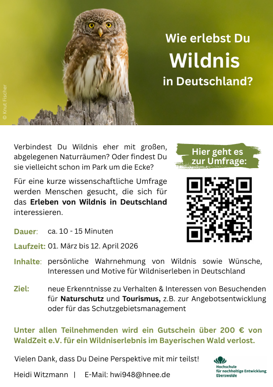 Screenshot 2026 03 11 111859