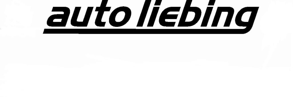 liebing LOGO
