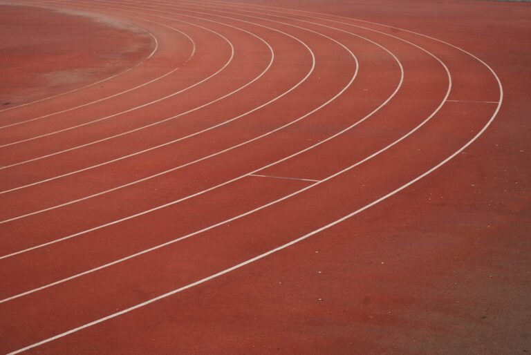 publicdomainpictures track 19217 1920