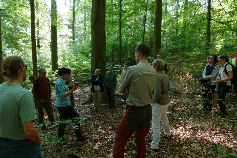 2026 04 28 PM Evaluierungsbericht2026