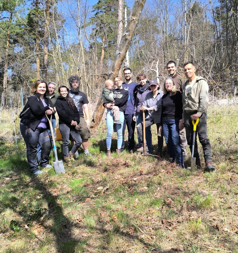 Baumpflanzaktion stadt halberstadt 17 04 2026