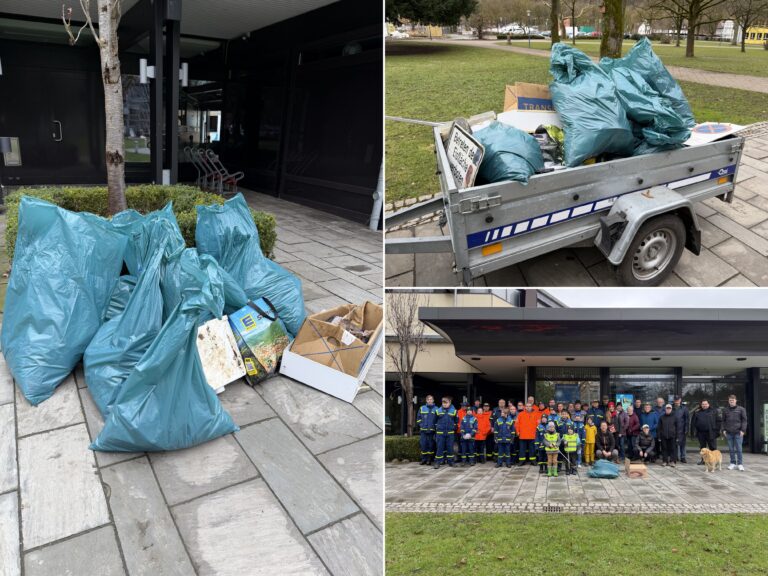 Collage Fruehjahrsputz 2026