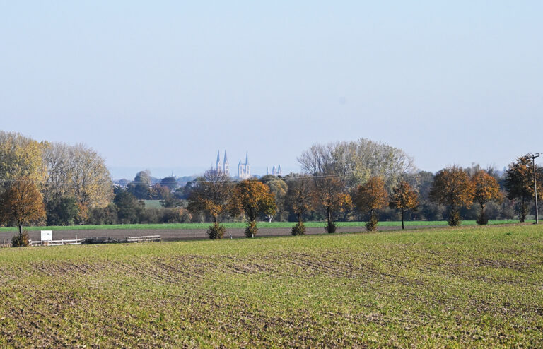 DSC 7501 Holger Wegenerr Radweg