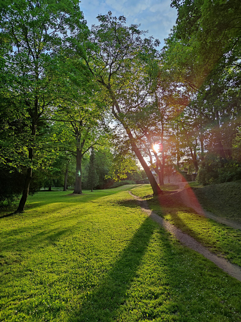 Parks HBS Darya Bondar 10