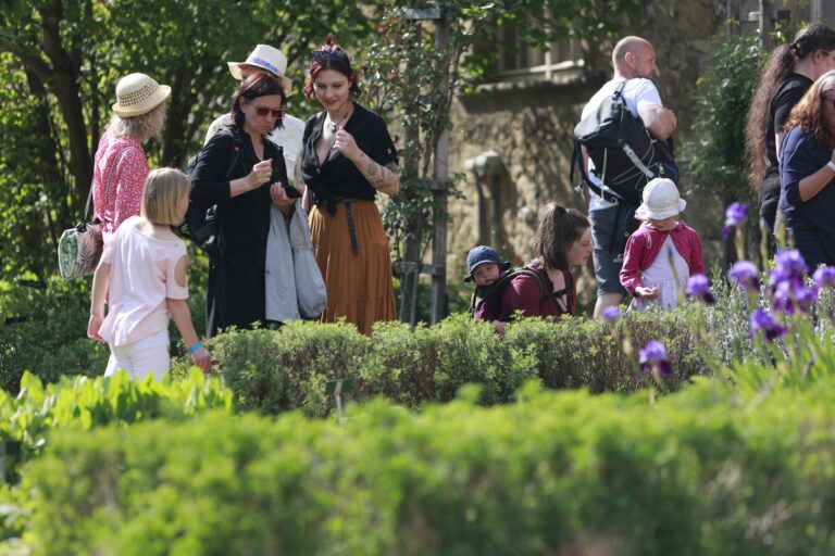 X1A7349 Kraeutertag MatthiasBein230513