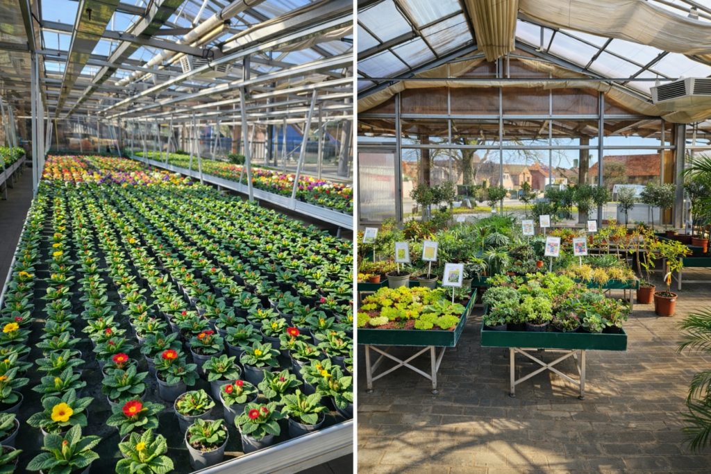 file 00000000ae38724686a376e46230e0d8