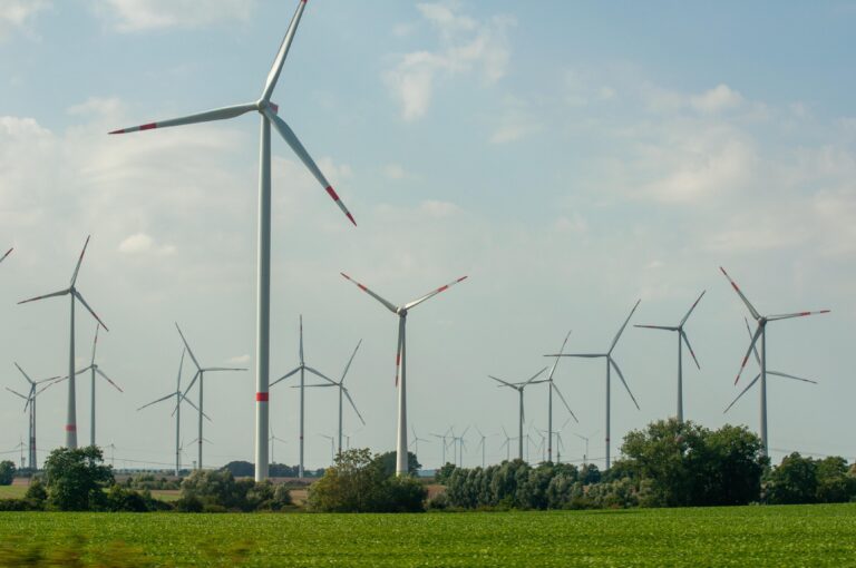 In Harlingerode wird es vorerst keinen Windpark geben