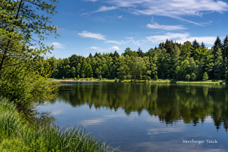 Der Herzberger Teich soll künftig eine wichtige Rolle beim Hochwasserschutz spielen