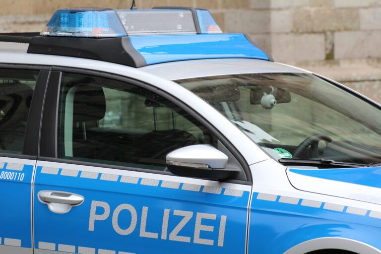 techline police 974410 1920