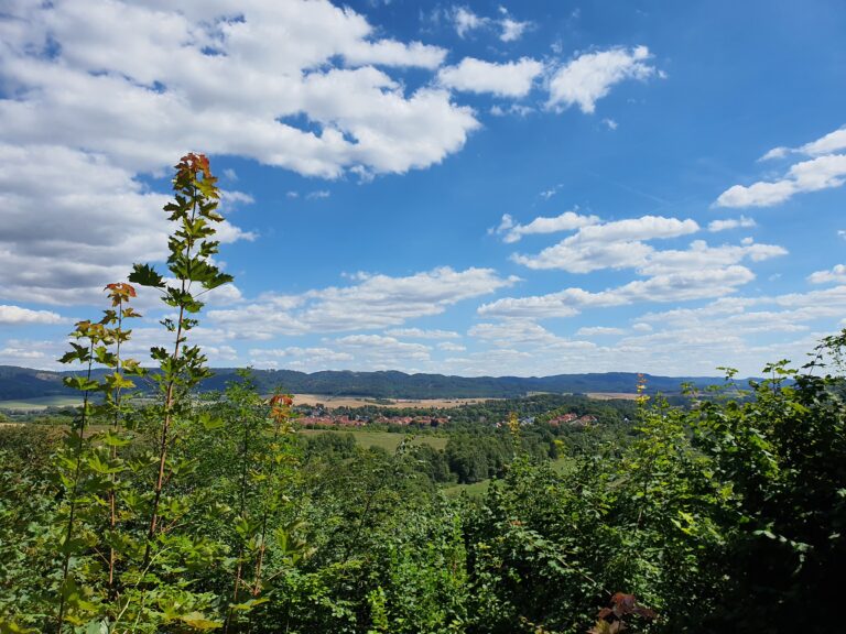 Aussicht Stempelstelle HWN 167 Ellricher Blick c Corinna Behnk