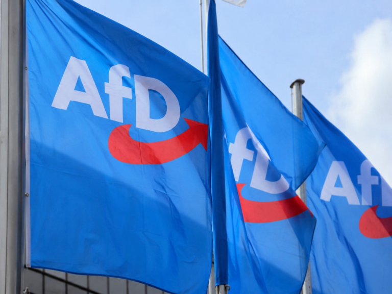 Die AfD hat gute Chancen, den nächsten Landrat im Saalekreis zu stellen
