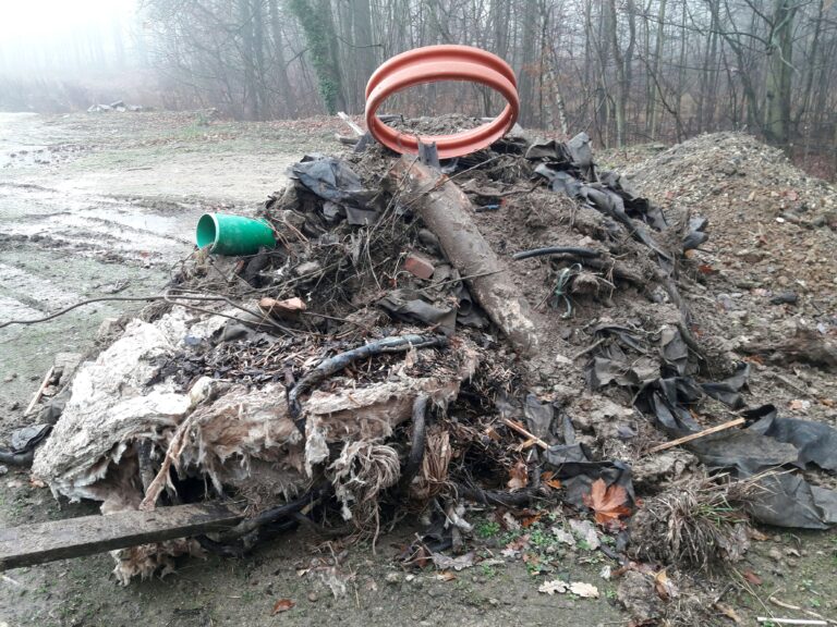 Wilde Deponie Fliegerhorst 23.12.2020 BUND