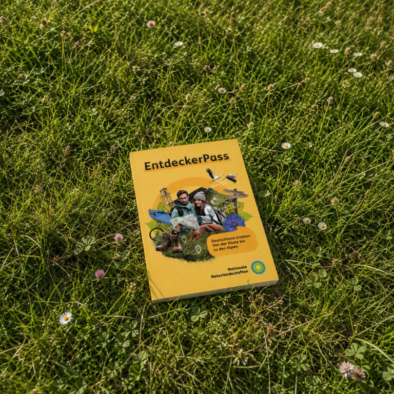 NNL EntdeckerPass Mockup KI generiert