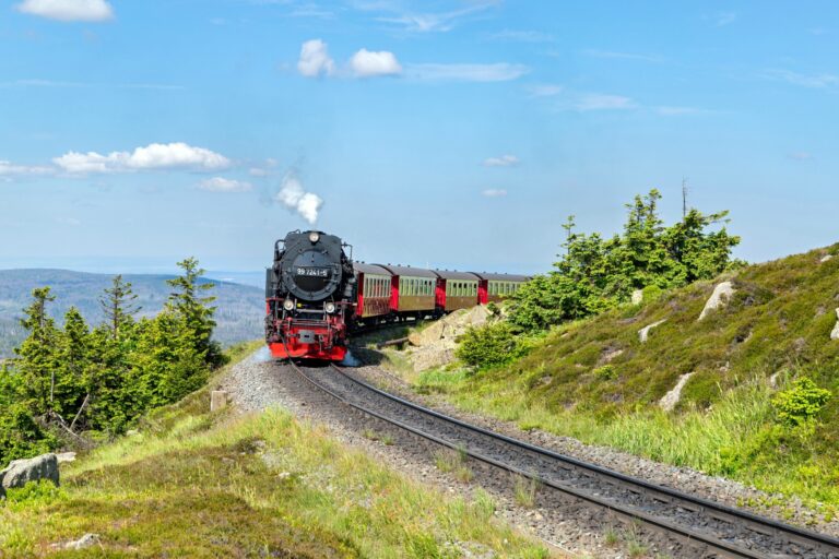 d619f6a6 3928 48c1 b290 5c3ef1e435d2